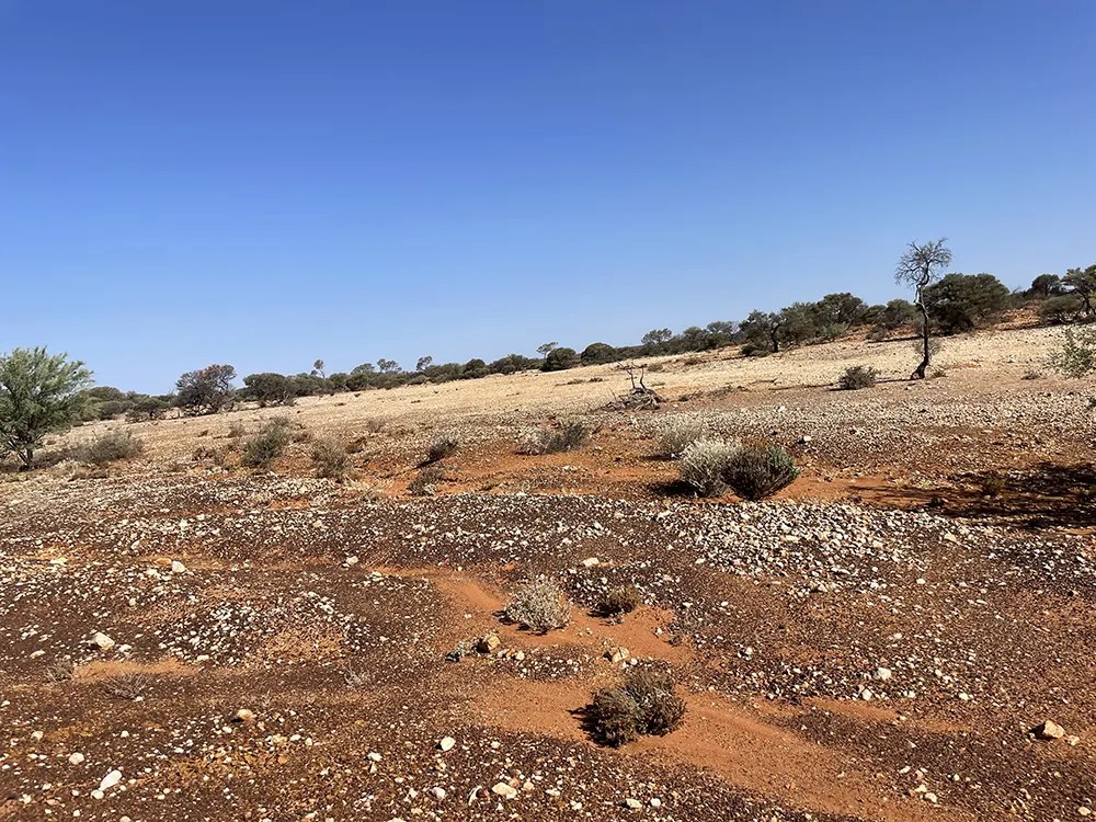 Gold Prospecting Lease Mount Complete Prospecting