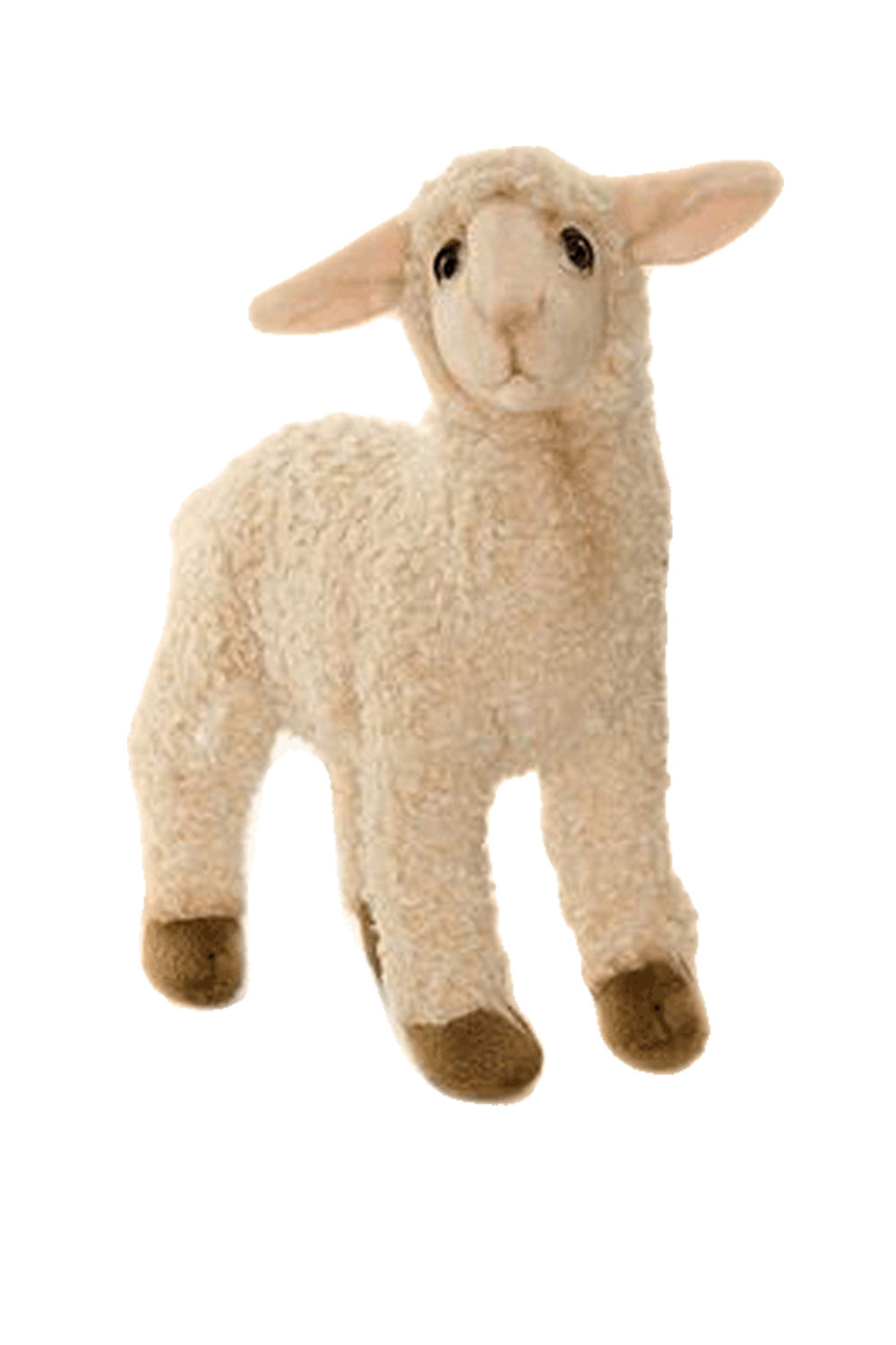Sheep Lamb Medium Complete Sheep Shoppe