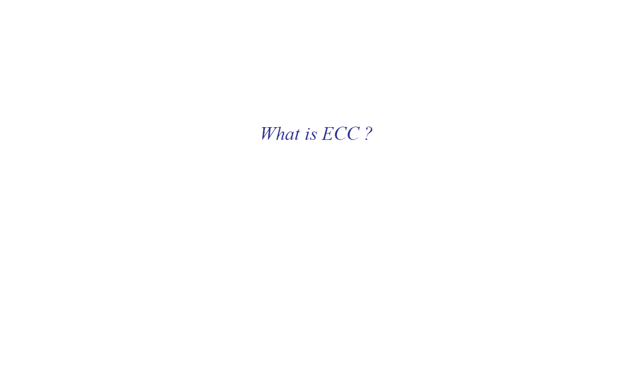 What is the Errorcorrecting code (ECC)? » Complete Things