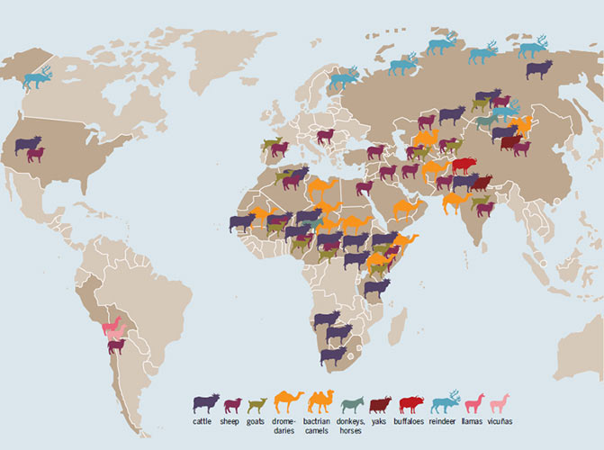 Fascinating "Meat Atlas" Maps Chronicle The World's Meat Production and