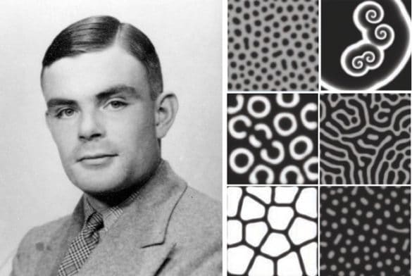 Patterns, Patterns, Patterns…the Alan Turing’s work Complexitys