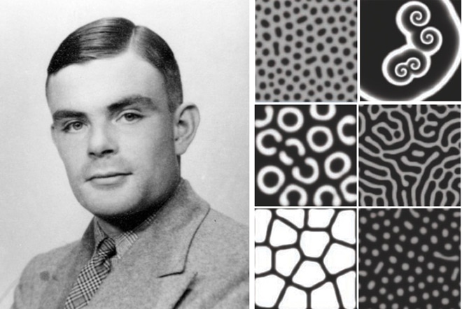 Patterns, Patterns, Patterns…the Alan Turing’s work Complexitys