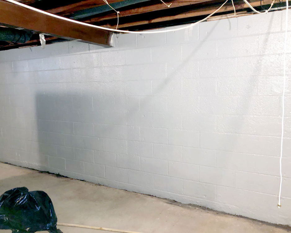 Basement Waterproofing Comprehensive Mold Management