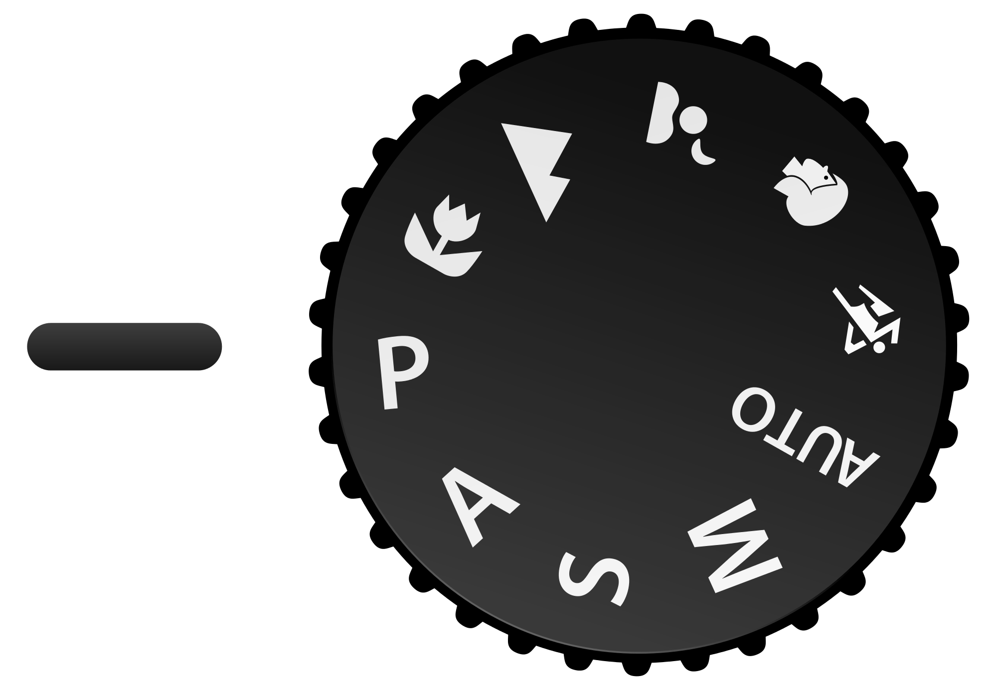 P Mode in Photography When and How to Use it ComposeClick
