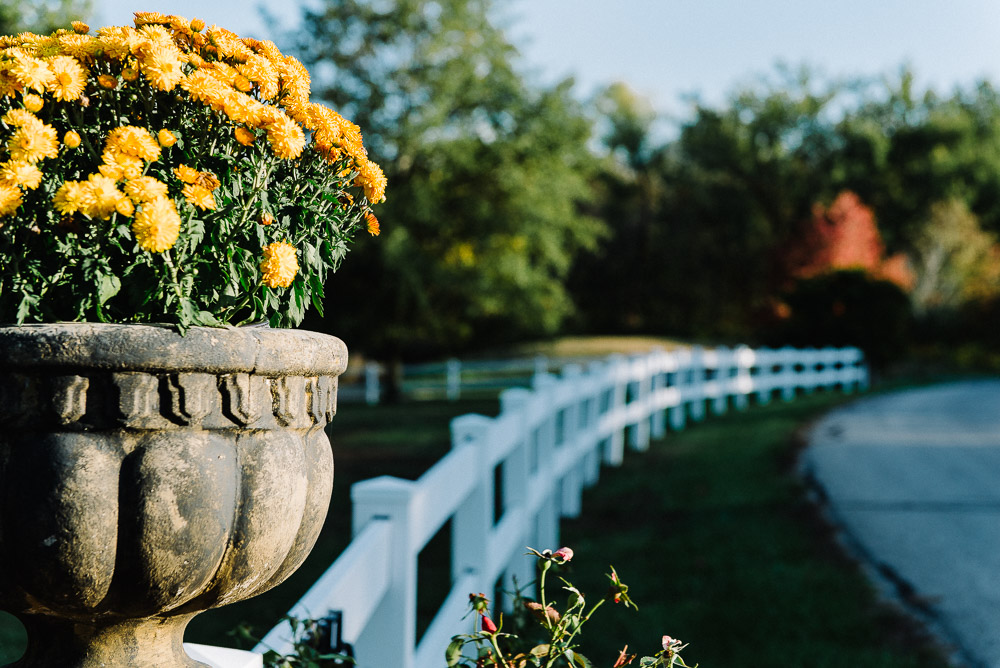 A Beginner's Guide to Understanding Depth of Field ComposeClick