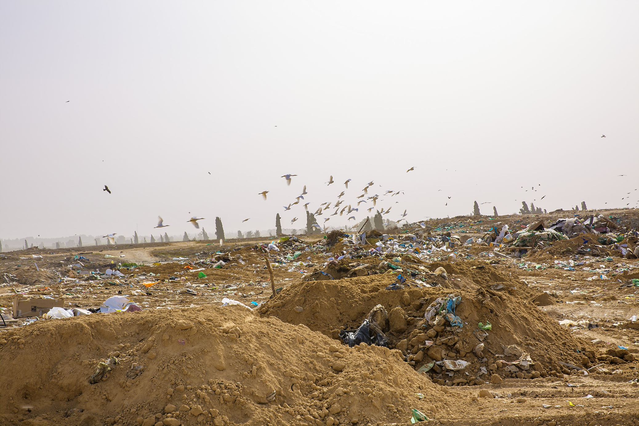 landfill2 Composites Weekly