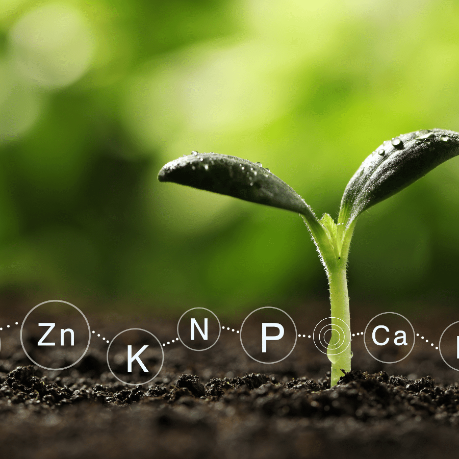 Unlocking the Secrets of Your Soil Understanding and Using Your Soil