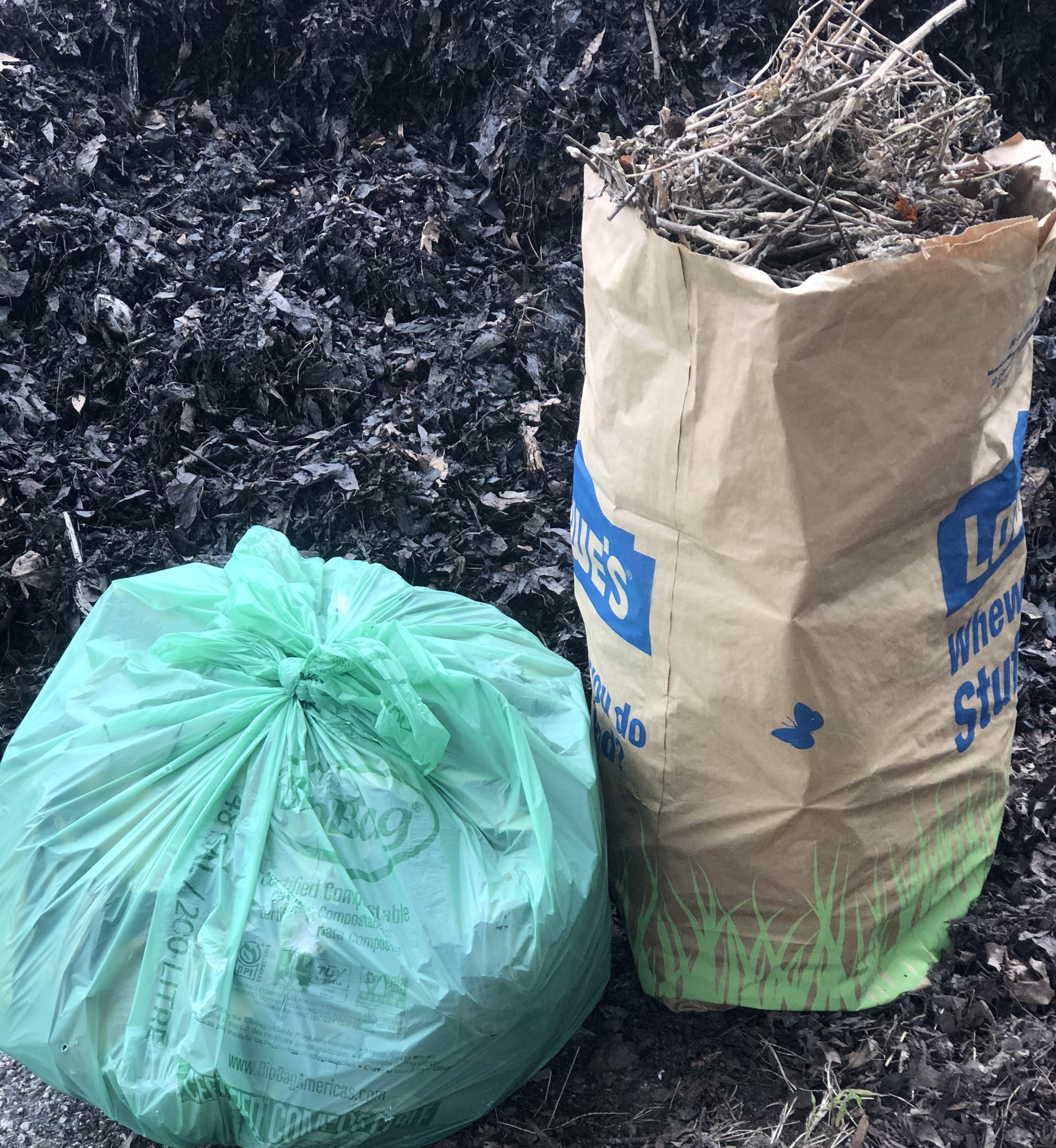 Switch to Compostable Leaf Bags The Compost Fairy