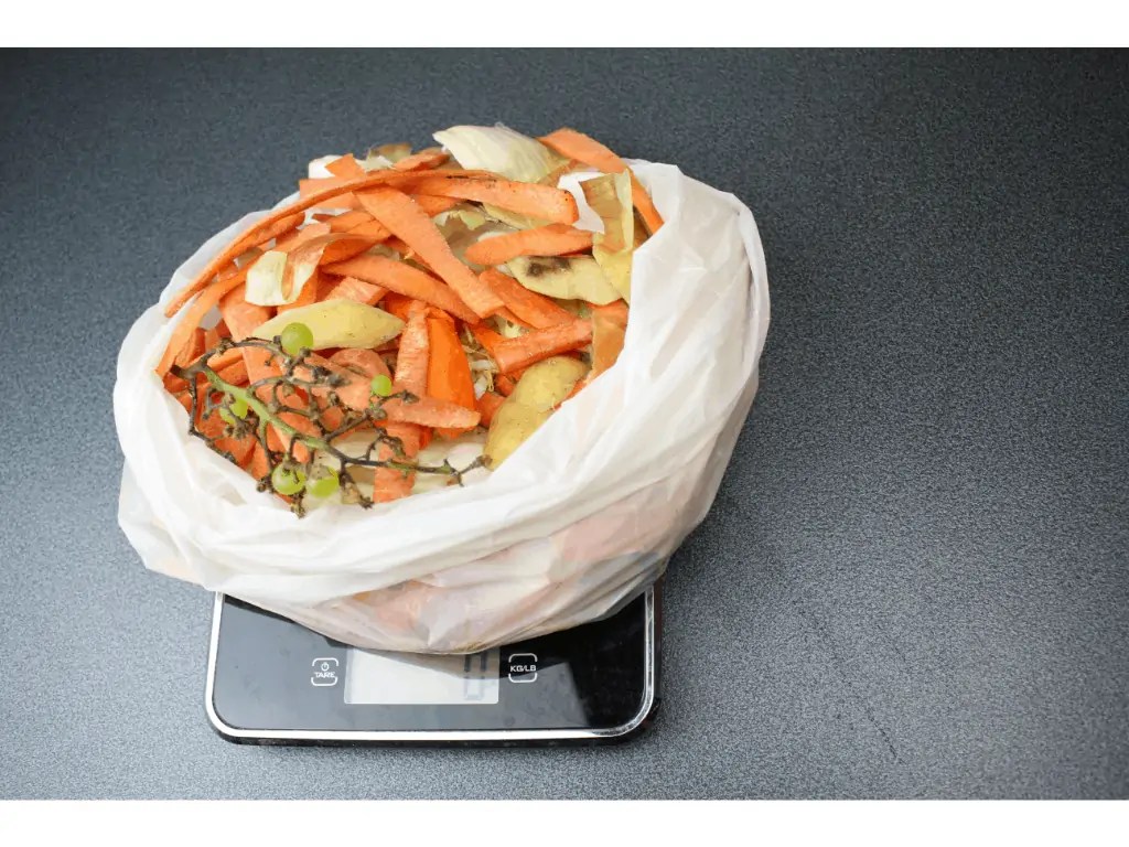 How Much Compost Can You Make From One Pound Of Waste? Composthq