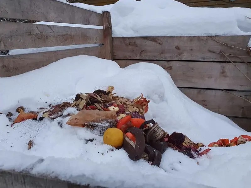 Composting In Winter How To Do It Right Composthq
