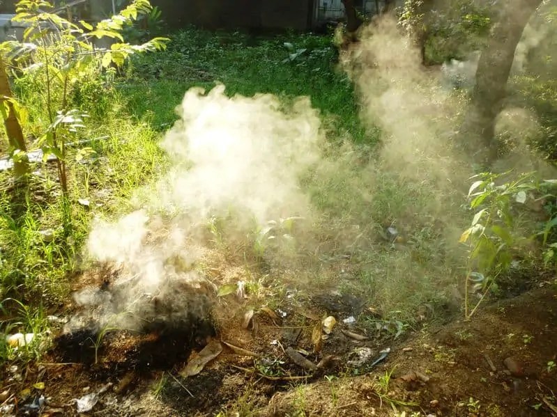 Are Compost Fumes Toxic To Plants? ( Expert Details Revealed) Composthq