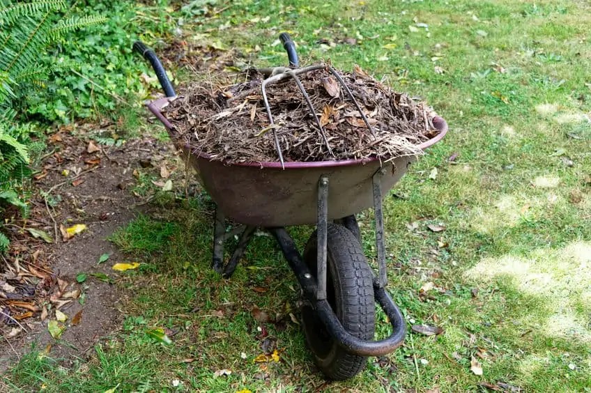 The Risks Of Composting Can It Burn Your Lawn? Composthq