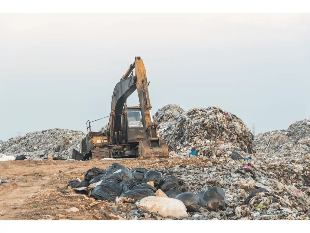 How Long Does It Take Banana Peel To In A Landfill? Composthq