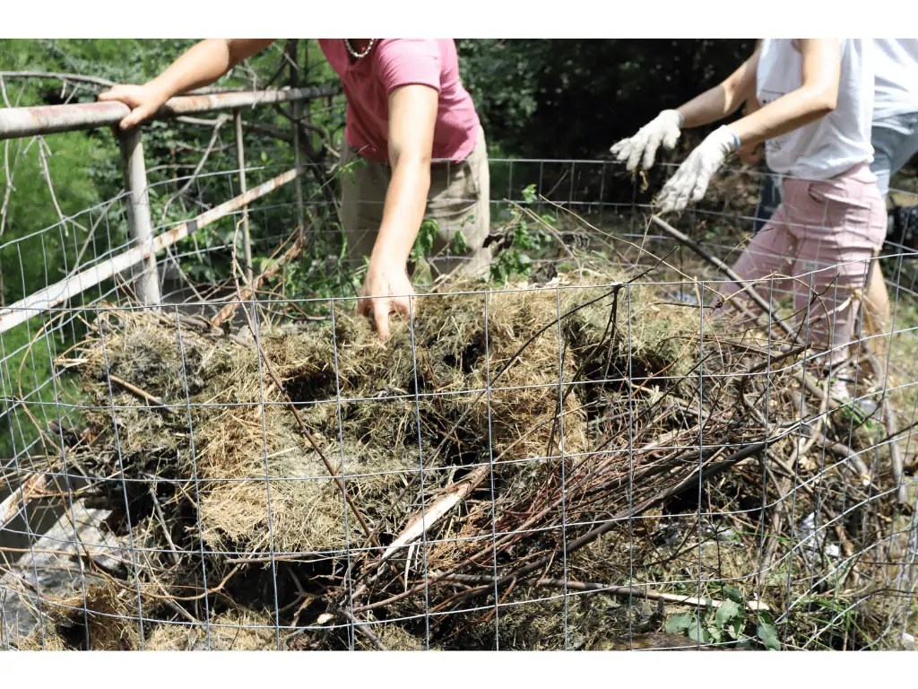 Composting Schedule And Time Frame (When Should I Start?) Composthq