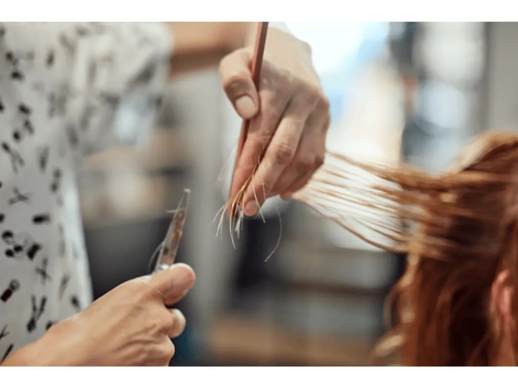 Can You Compost Dog Hair