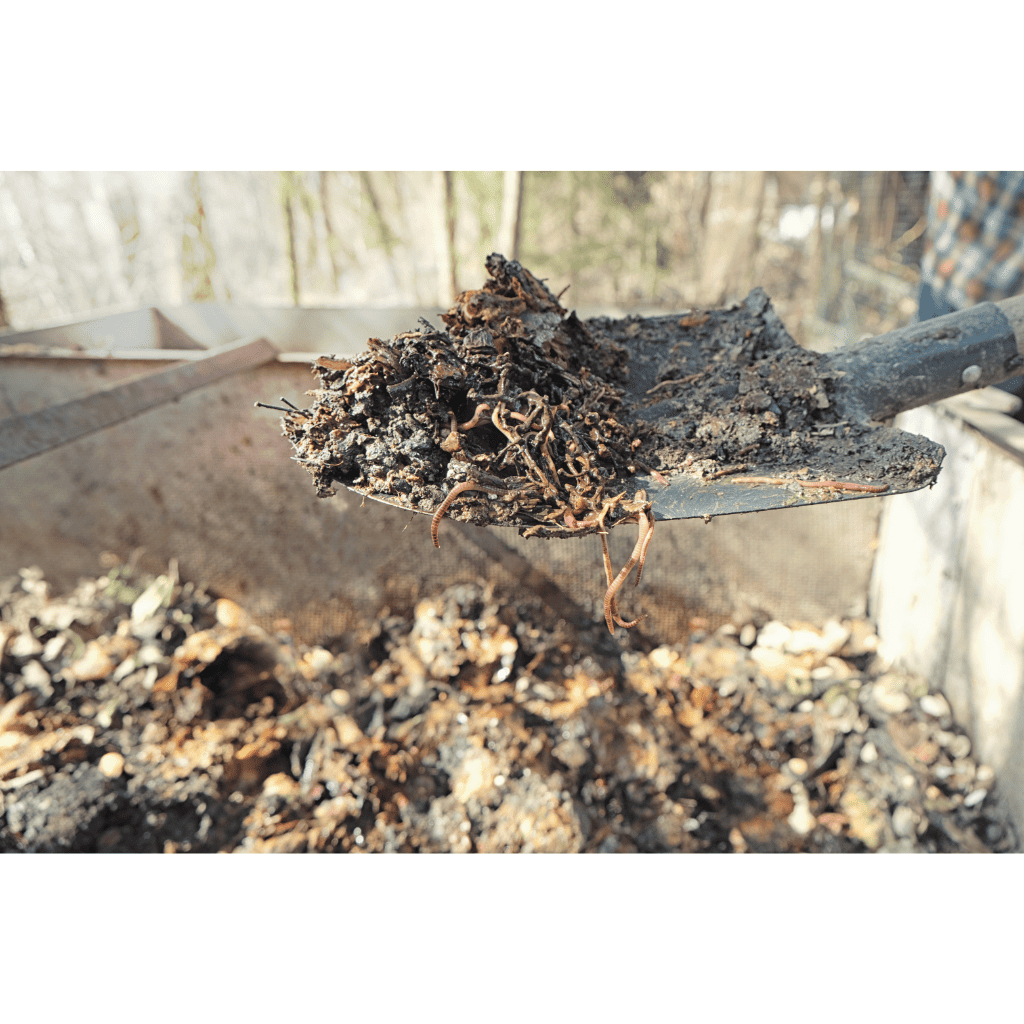 Can You Compost Moldy Strawberries? A Comprehensive Guide Composthq