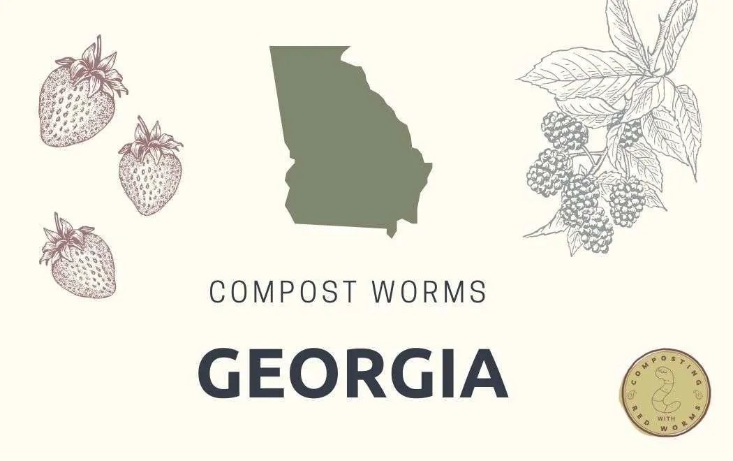 Where to buy red worms in Composting with Red Worms