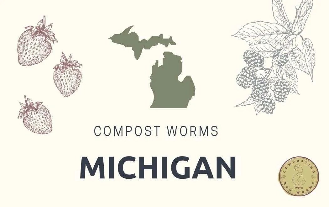 Where can you buy red worms in Michigan
