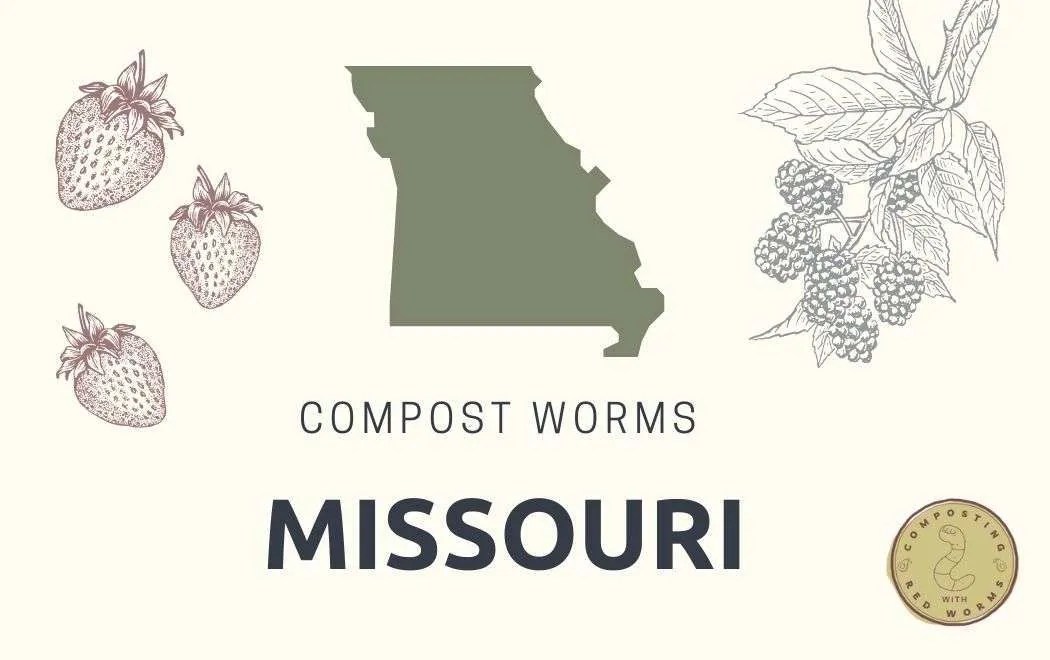 Buy Compost Worms In Missouri Composting with Red Worms
