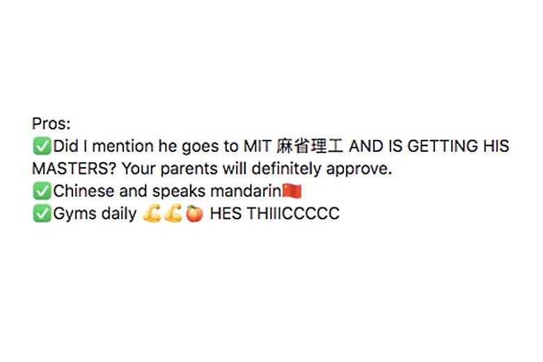 Subtle Asian Dating Why a raunchy, selfaware Subtle Asian Traits