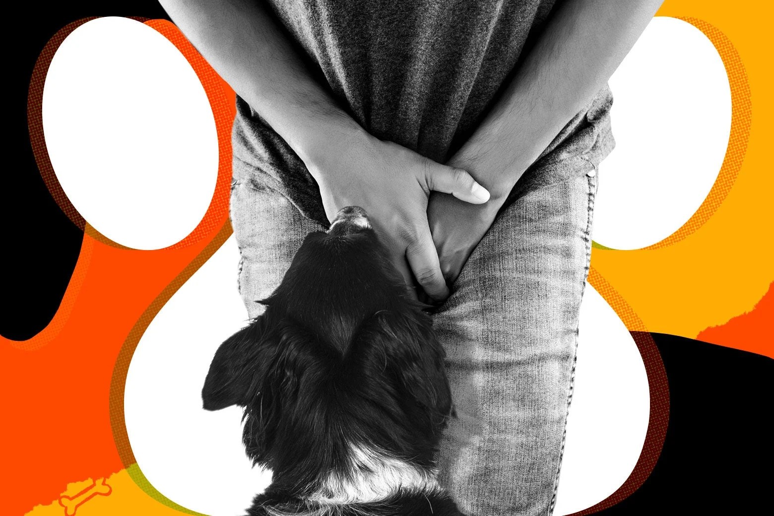 Why Does My Dog Hide Food Around The House