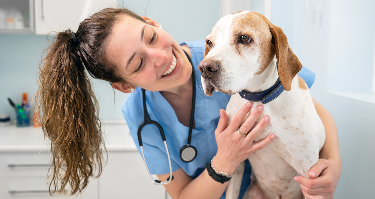 Compounding Medications for Pets What You Need to Know