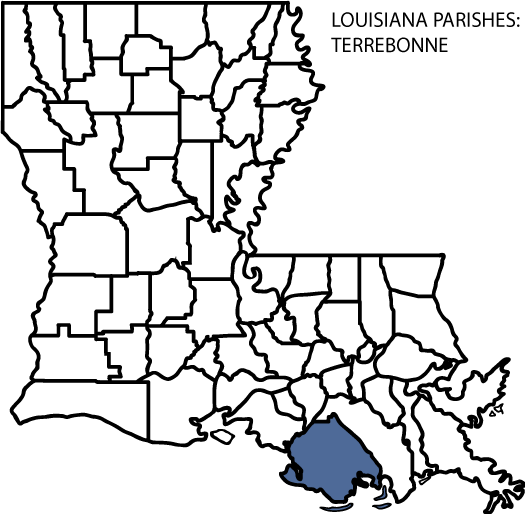 For More Demographic Data Visit 2010 Census