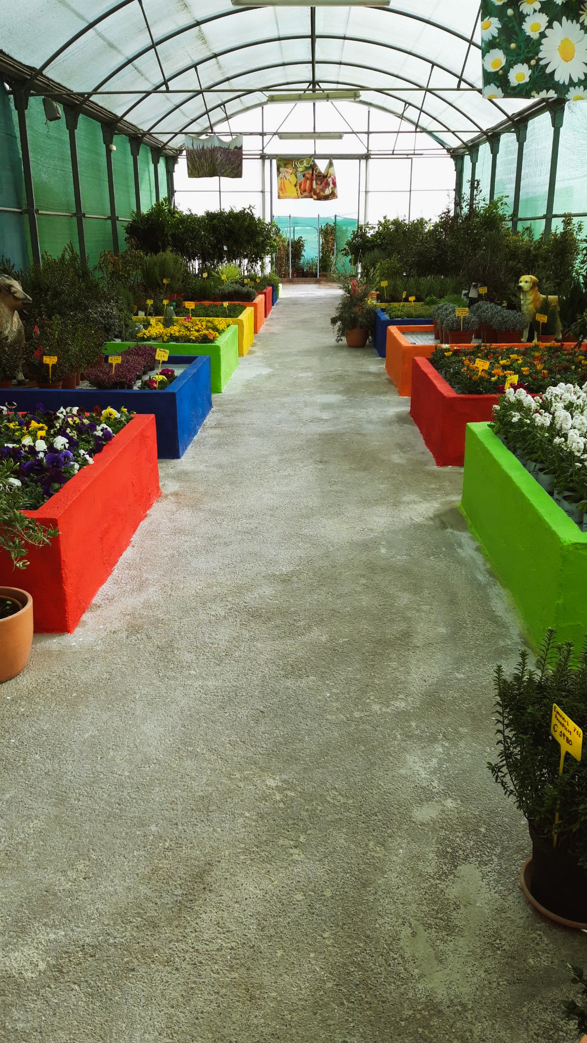 GARDEN LOS PEDROCHES S.L. Compra en Los Pedroches
