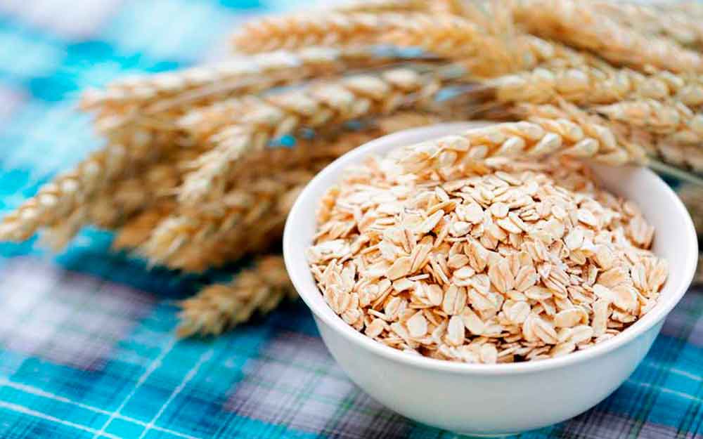 Propiedades y recetas de la avena Quaker Cereal Square