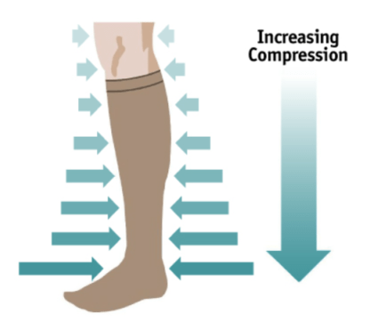 TED Hose: Best Recommended Guide to TED Stockings vs Compression Socks