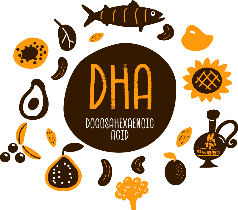 Best DHA Supplement for Pregnancy Is it to Take?