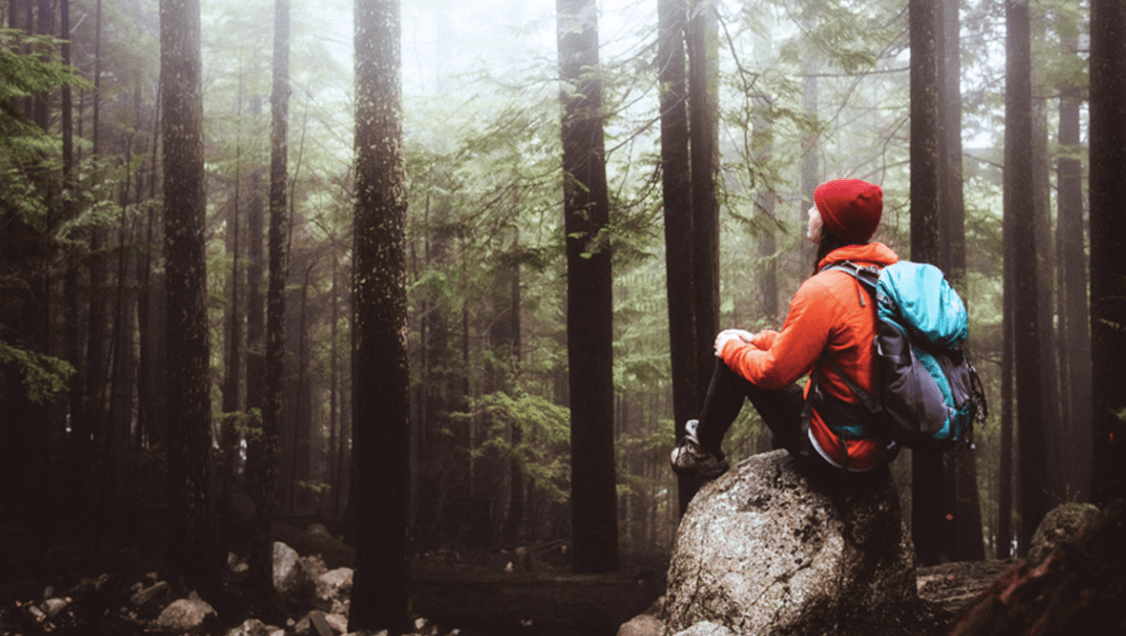 6 Essential Survival Tactics You Should Know About ComptonHerald