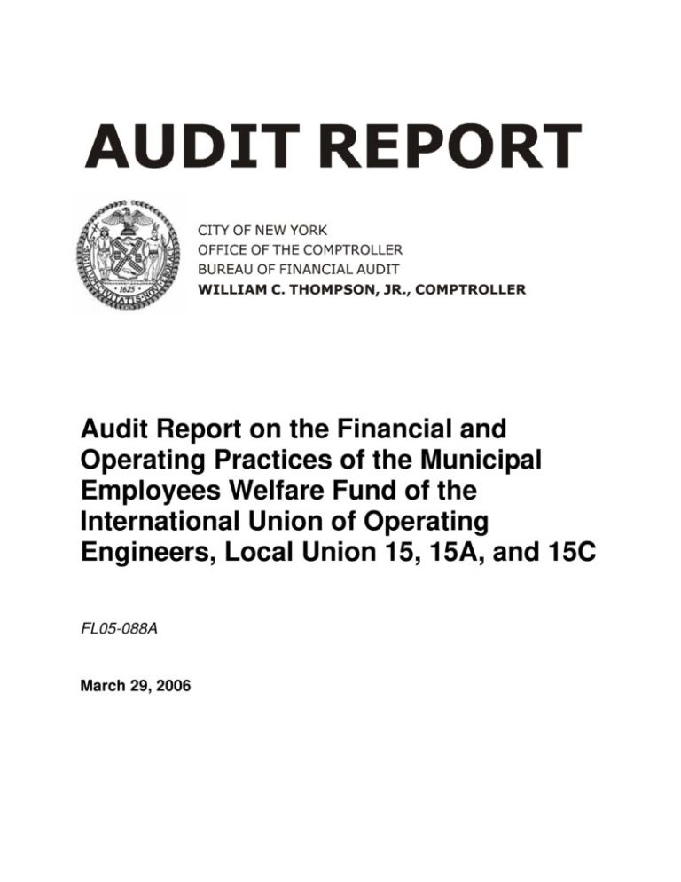 Audit Report on the Financial and Operating Practices of the Municipal
