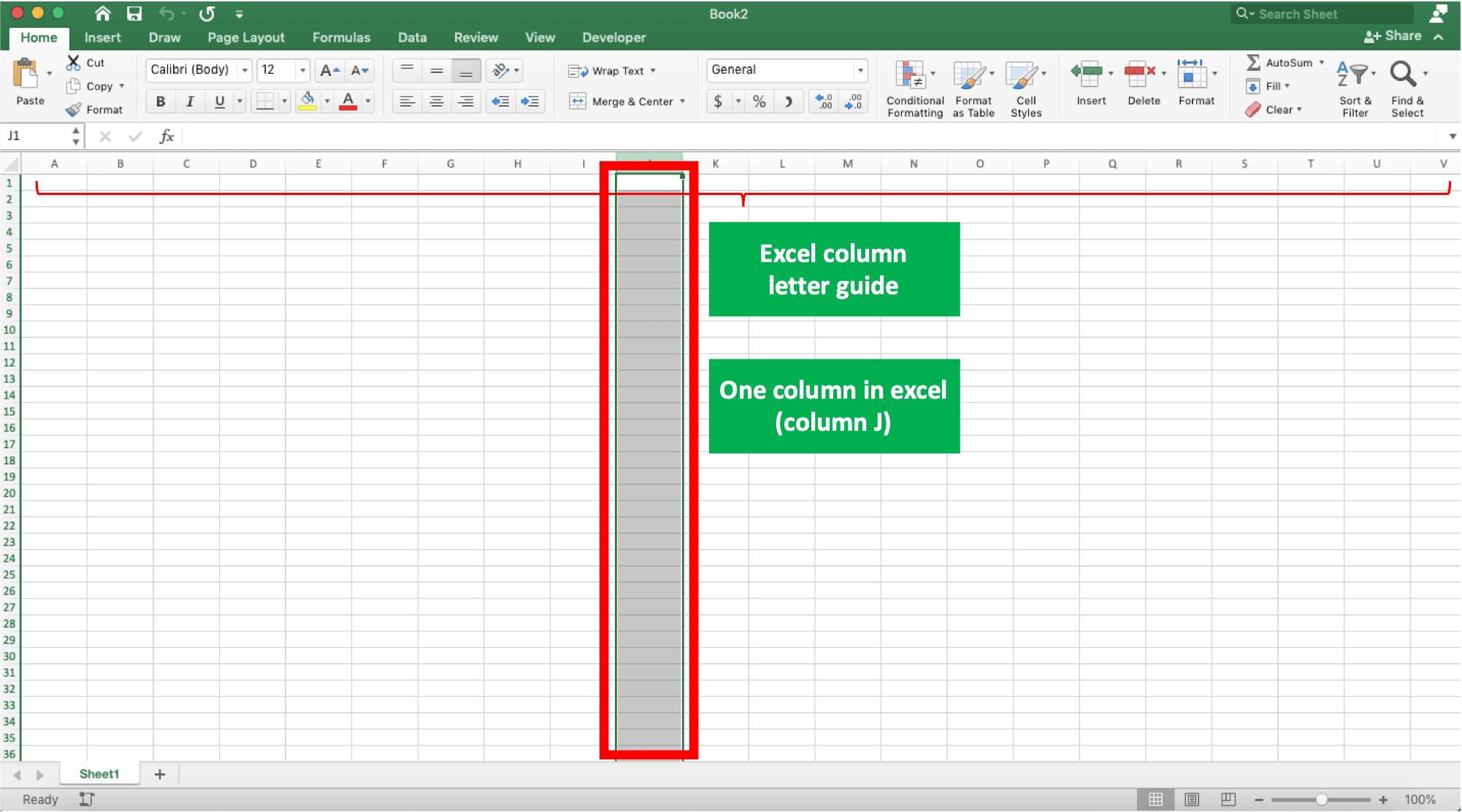 Excel Rows vs Columns Definition & Difference Compute Expert
