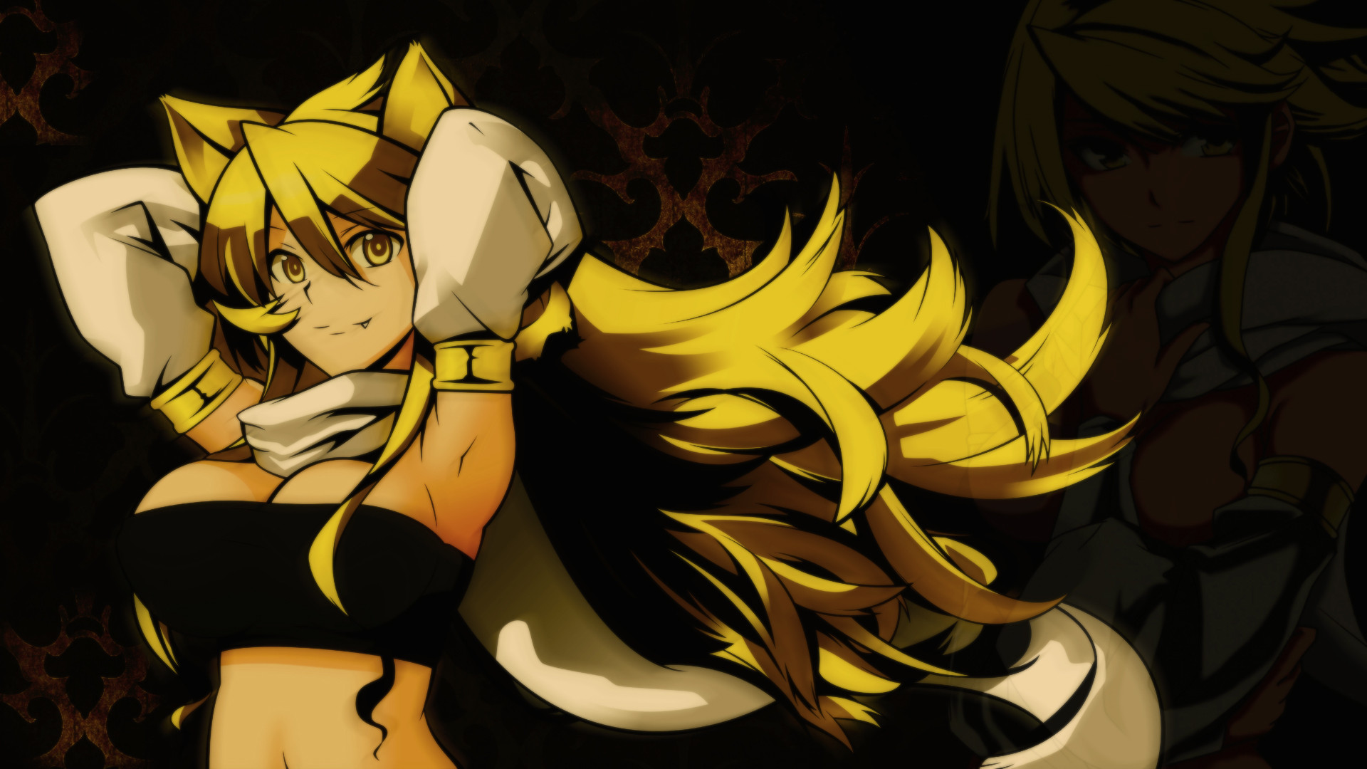 Akame ga Kill! 185 Desktop Wallpapers Computer