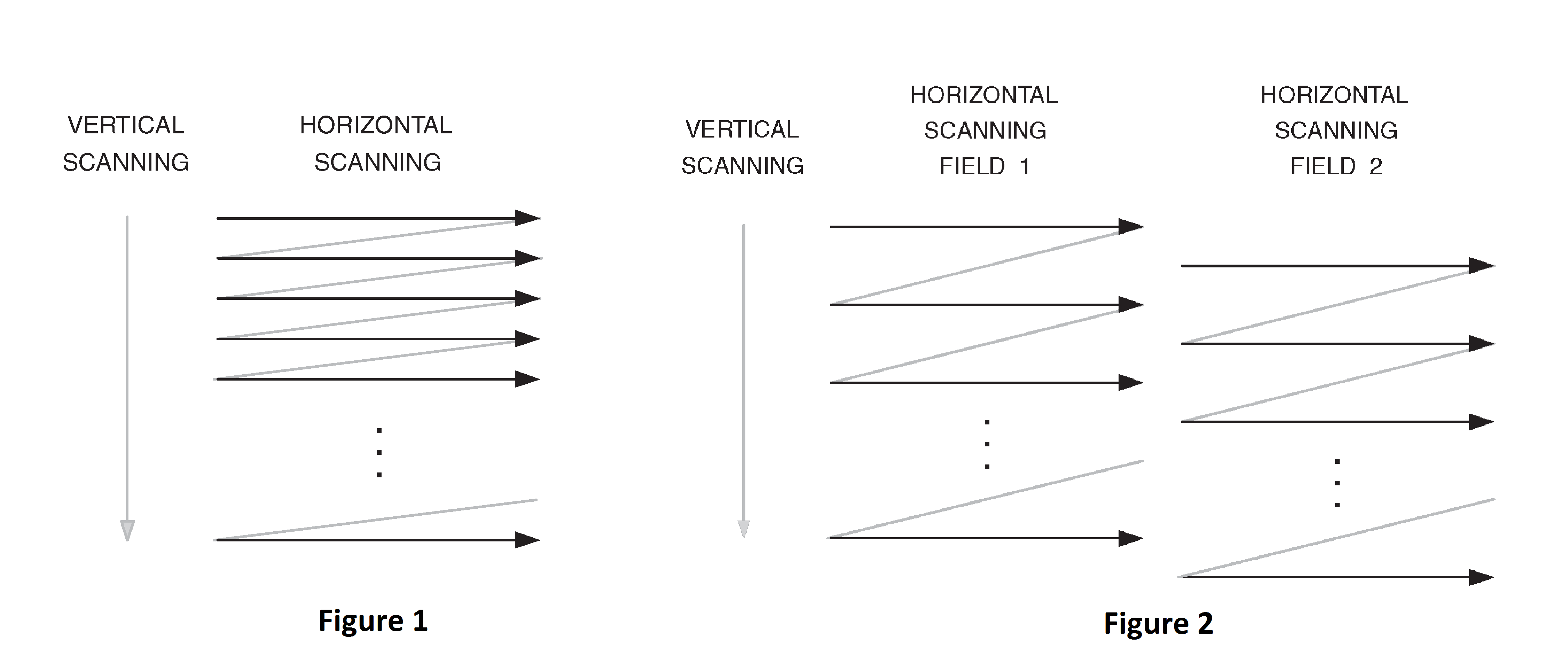 Interlaced and non interlaced video in Adobe Premiere Computer Hindi