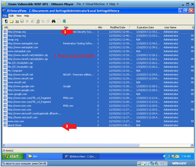 IEHistoryView Viewing Past URL  History