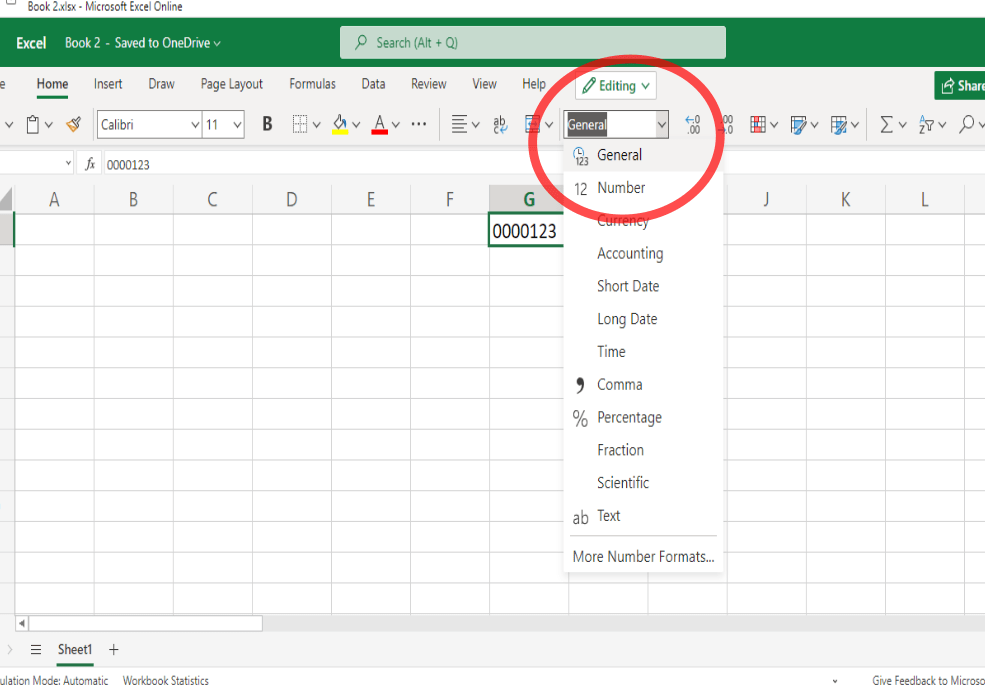 Remove Leading Zeros in Excel How to Guide!