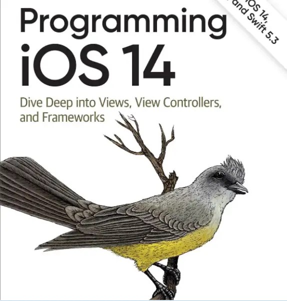 Top Books to Learn iOS Programming in 2024 Essential Reads for Developer