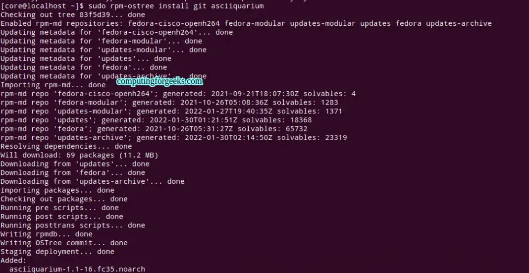 How To Run Fedora CoreOS (FCOS) on VMware Workstation
