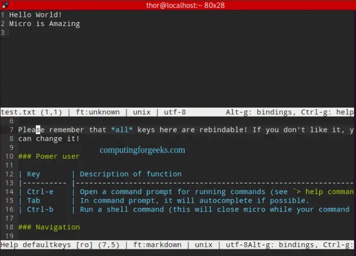 Install and Use Micro terminal text editor on Rocky/AlmaLinux 8