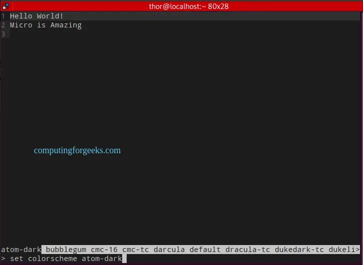 Install and Use Micro terminal text editor on Rocky/AlmaLinux 8