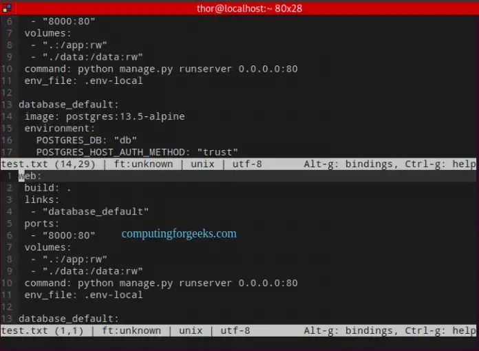 Install and Use Micro terminal text editor on Rocky/AlmaLinux 8