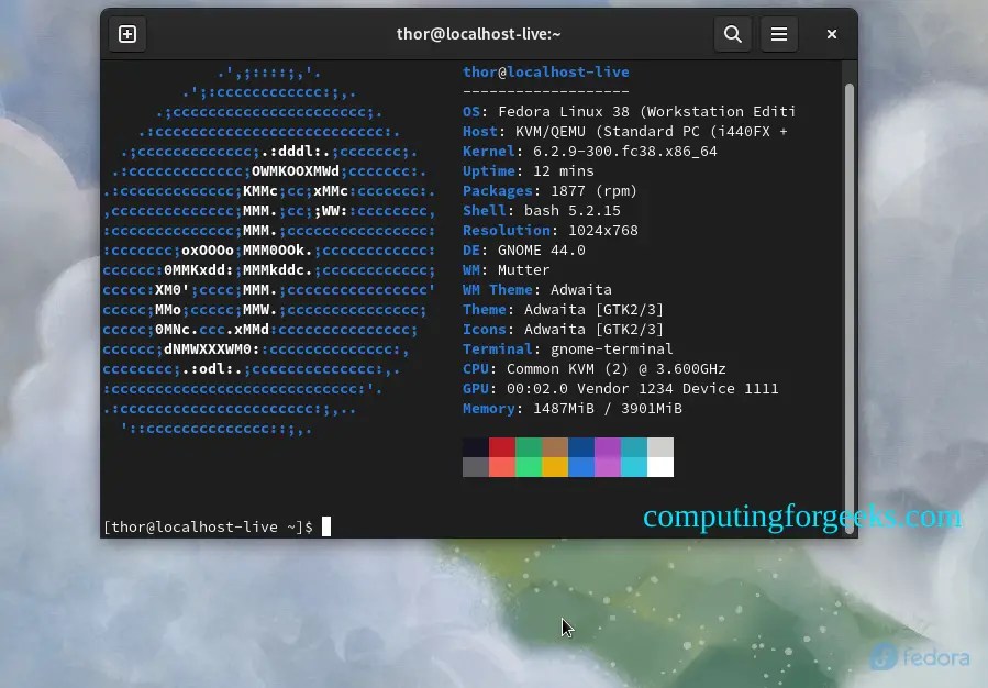 Fedora 38 Release Date