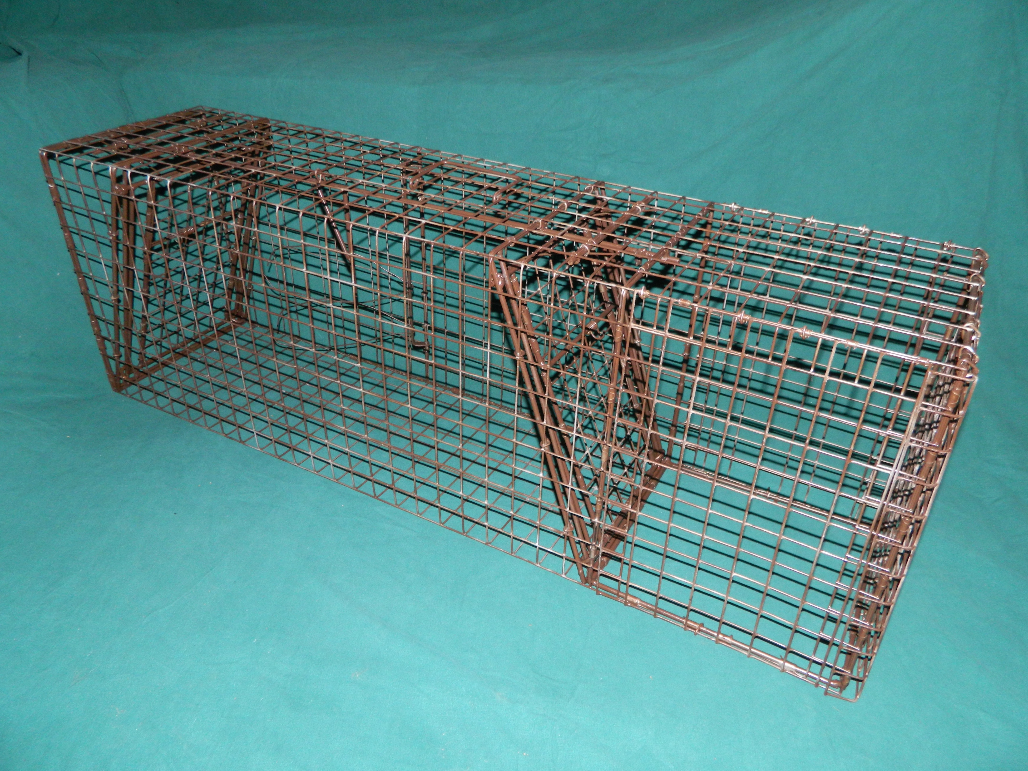 Custom Multipurpose Fox Cage Trap Comstock Custom Cages