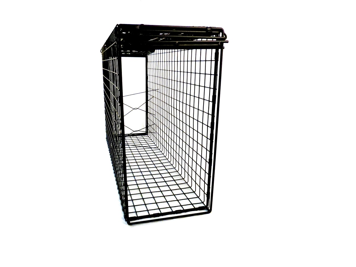 Medium Double Door Bobcat Trap with Two BiFold Comstock Custom Cages