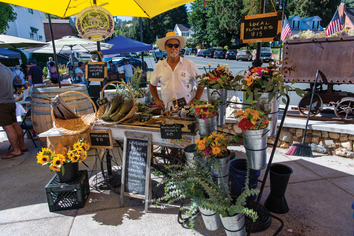 Inflation Hits the Market Basket Comstock's magazine