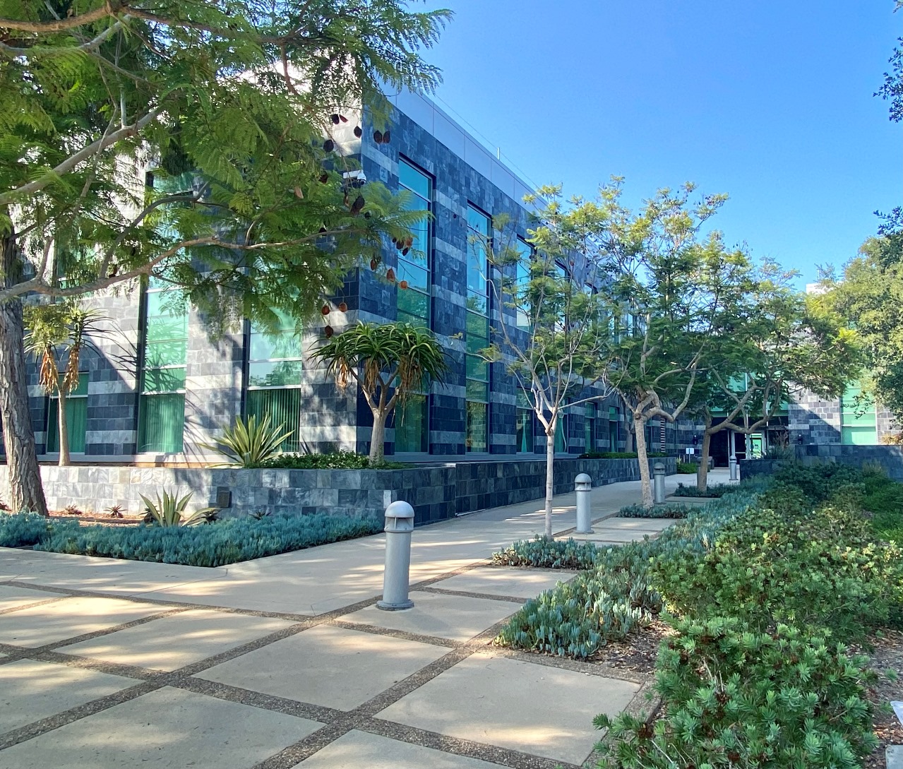 Pfizer CB3 La Jolla Conan Construction