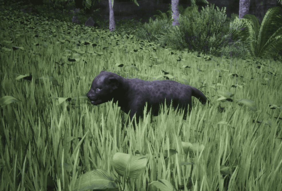 Conan Exiles Jaguar Cub Guide Conan Fanatics