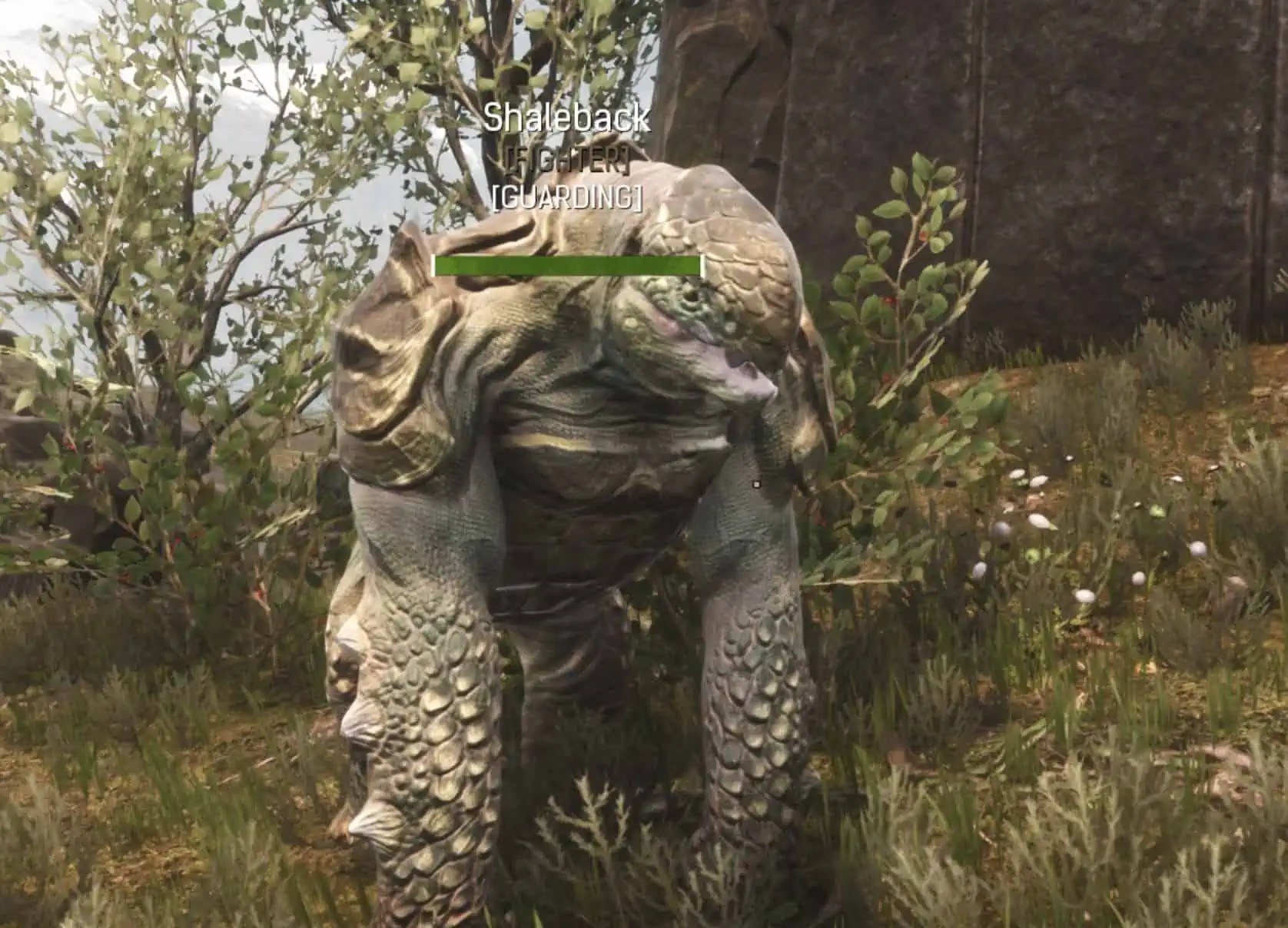 Conan Exiles Pet Tier List Catch 'Em All...Or Don't Conan Fanatics